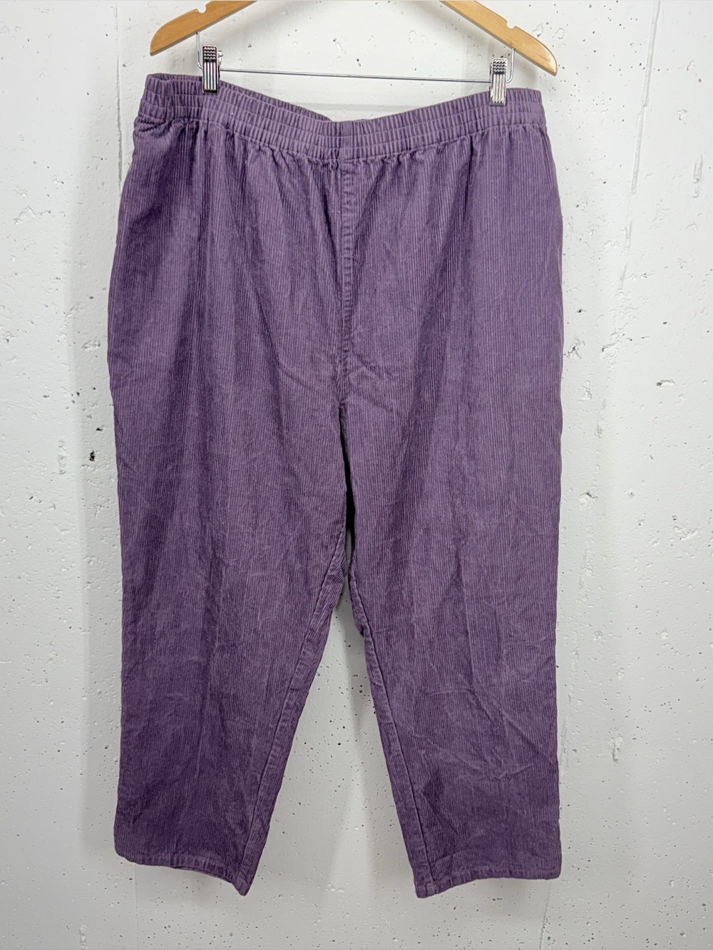 Lucy & Yak size XL Purple Corduroy Elastic Waist Pull On Pants